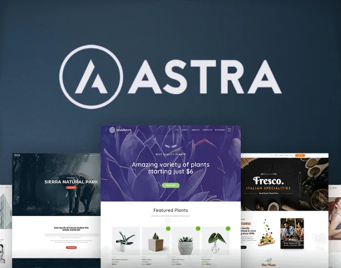 A view of Astra - free WordPress Theme for Bloggers